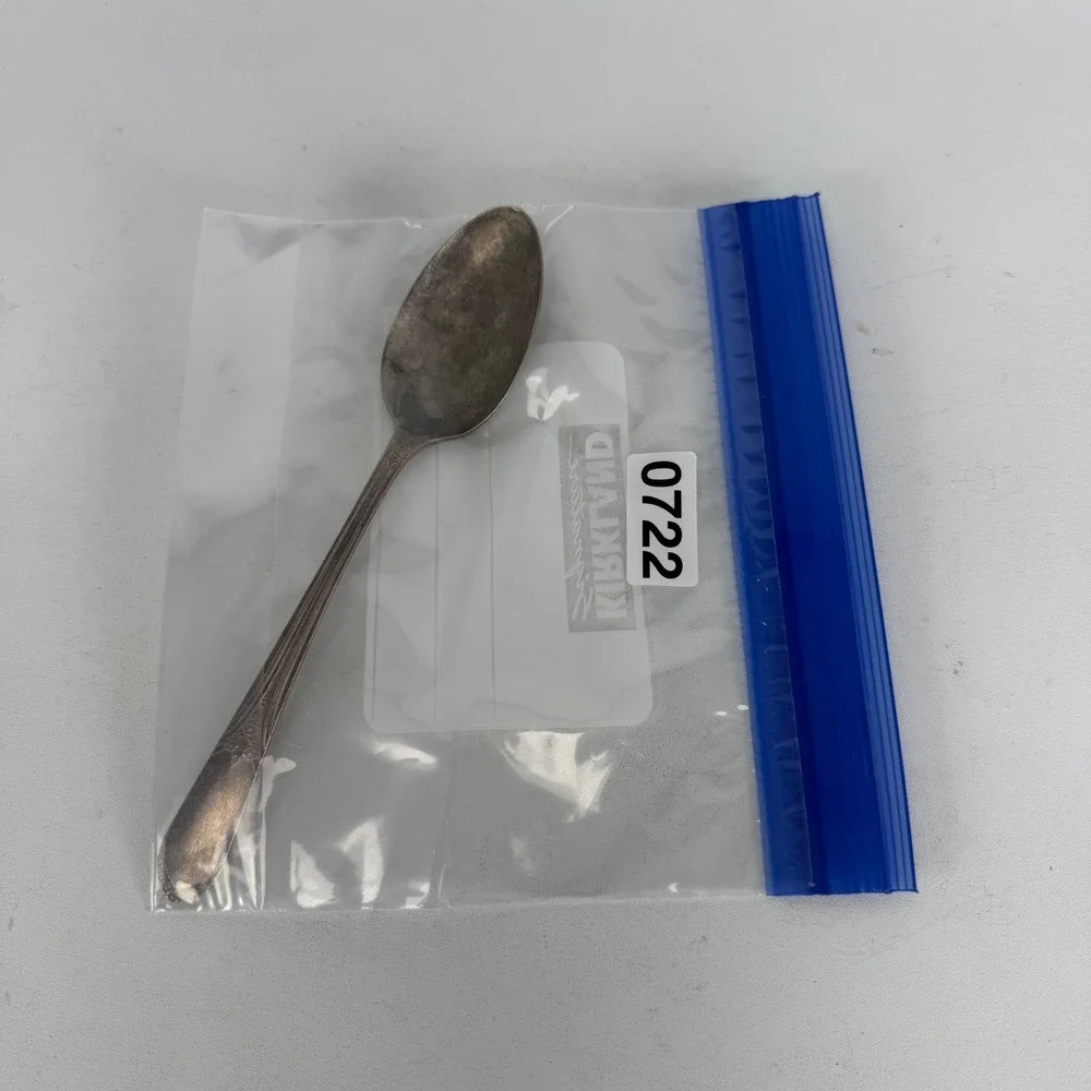 International Silverplate SERVING SPOON Mary Lou Devonshire Wm Rogers 8 1/2